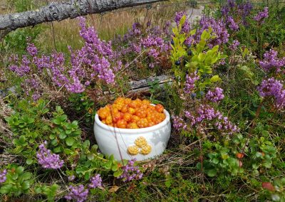 Höstens gula guld